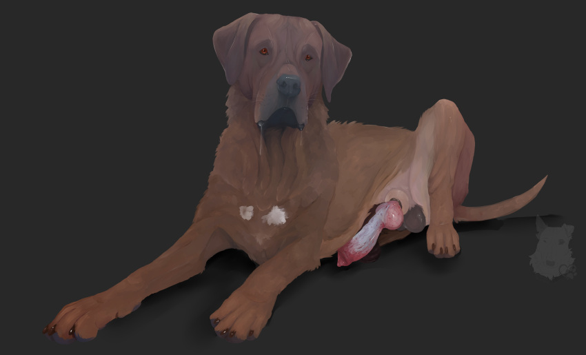 2021 absurd_res anatomically_correct anatomically_correct_genitalia anatomically_correct_penis animal_genitalia animal_penis balls bodily_fluids canid canine canine_penis canis domestic_dog feral genitals hi_res jenklinbullterrier_(artist) knot male mammal mastiff molosser penis realistic saliva saliva_string simple_background solo tosa_inu