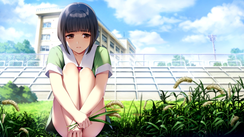 1girl bangs black_hair blue_sky blunt_bangs brown_eyes closed_mouth cloud collarbone day doukyuusei eyebrows_visible_through_hair game_cg green_shirt green_skirt highres leg_hug miniskirt official_art outdoors riverbank saitou_ako scenery shiny shiny_hair shirt short_hair short_sleeves sitting skirt sky solo sumeragi_kohaku