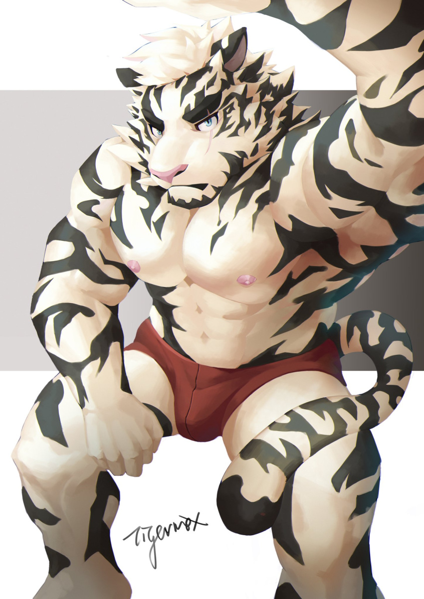 1boy abs animal_ears arknights bara briefs bulge feet_out_of_frame furry highres looking_at_viewer male_focus male_underwear mountain_(arknights) muscular muscular_male nipples pectorals red_male_underwear scar scar_across_eye selfie short_hair sitting solo stomach tail thick_eyebrows thighs tiger_boy tiger_ears tiger_tail tigermax underwear underwear_only white_fur white_hair