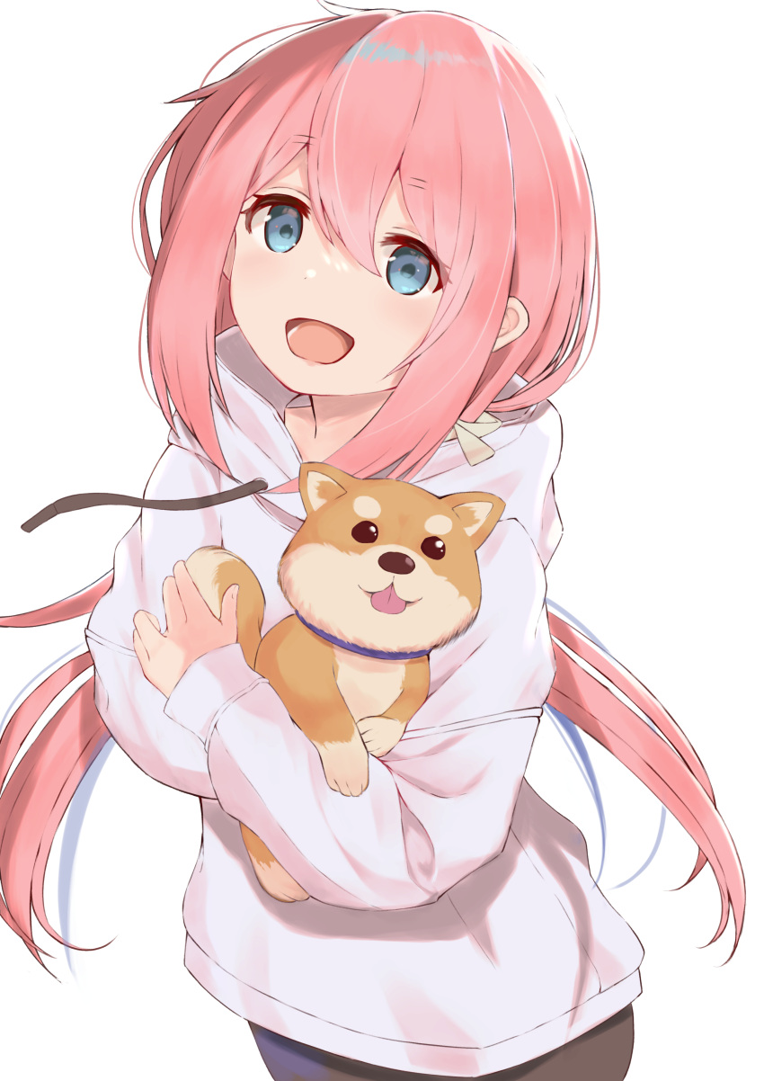 1girl :d absurdres animal bangs blue_collar blue_eyes collar dog eyebrows_visible_through_hair eyes_visible_through_hair file112056 hair_between_eyes hair_ribbon highres holding holding_animal holding_dog hood hood_down hoodie kagamihara_nadeshiko light_blush long_hair long_sleeves looking_at_viewer low_twintails open_mouth pink_hair ribbon shadow shiba_inu sidelocks simple_background smile solo standing tongue tongue_out twintails white_background white_hoodie yurucamp