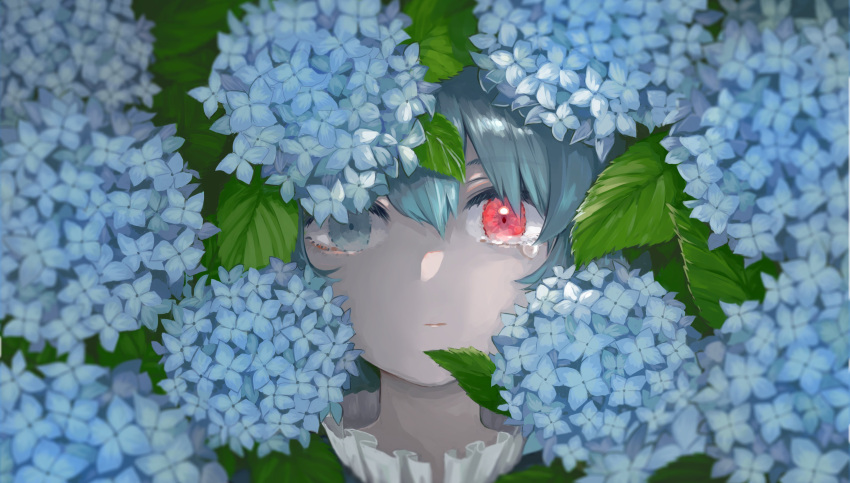 1girl absurdres bangs blue_eyes blue_flower blue_hair blur closed_mouth flower heterochromia highres ichinose_(kurui96) leaf looking_at_viewer plant portrait red_eyes short_hair solo tatara_kogasa tears touhou