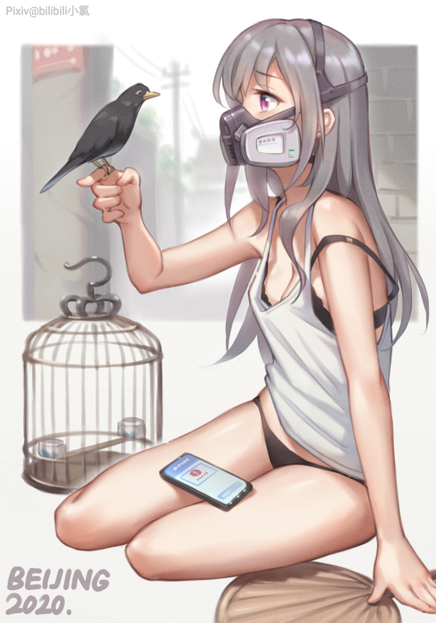 1girl 2020 absurdres animal bilibili_xiaolu bird bird_on_finger birdcage black_bra black_panties bra breasts cage cellphone chinese_commentary cleavage fan grey_hair highres long_hair looking_at_animal original panties phone power_lines purple_eyes respirator sitting small_breasts smartphone strap_slip tank_top underwear utility_pole white_tank_top yokozuwari