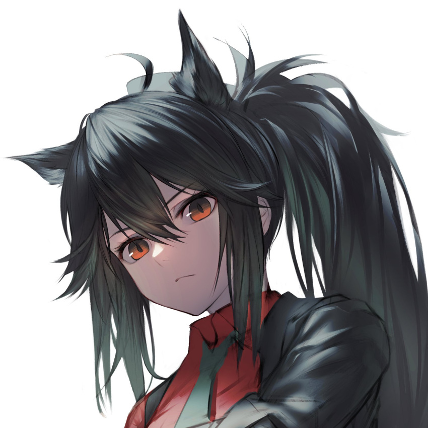 1girl ahoge animal_ears arknights black_hair black_jacket closed_mouth commentary expressionless eyebrows_visible_through_hair eyelashes hair_between_eyes highres jacket long_hair looking_at_viewer official_alternate_costume orange_eyes ponytail portrait red_shirt shirt simple_background solo t800 texas_(arknights) texas_(willpower)_(arknights) white_background wolf_ears work_in_progress