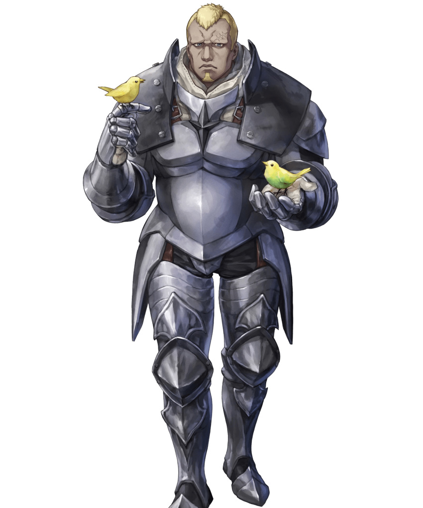 armor benny_(fire_emblem) fire_emblem fire_emblem_if nintendo