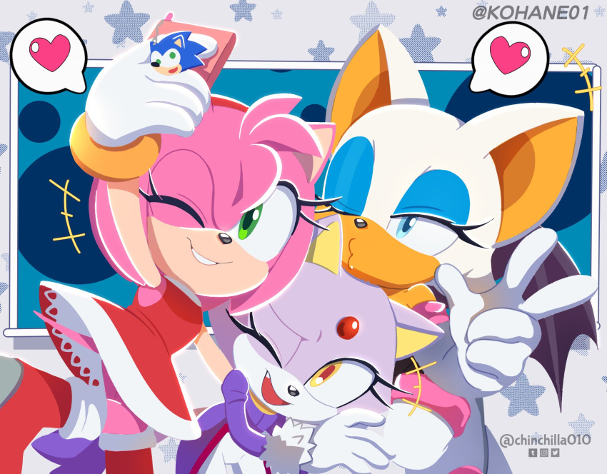 amy_rose anthro blaze_the_cat chinchilla010 chiropteran domestic_cat duckface eulipotyphlan felid feline felis female group hedgehog hi_res kohane01 mammal phone pose rouge_the_bat sega sonic_the_hedgehog_(series)