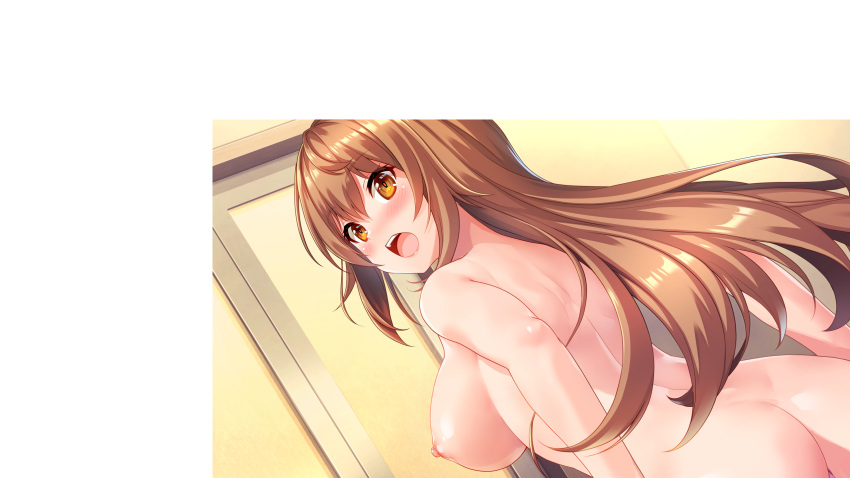 1girl akanesaki_tsubaki ass bangs blush breasts brown_eyes brown_hair door game_cg highres idoldays large_breasts long_hair looking_at_viewer looking_back nipples panties purple_panties shinozuka_atsuto solo topless underwear undressing