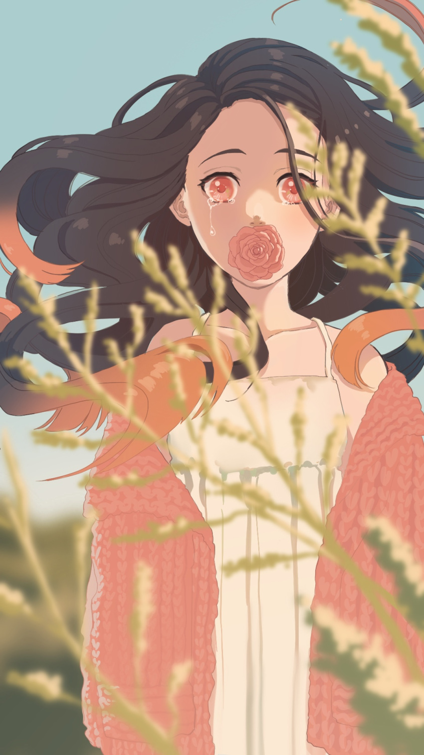 1girl black_hair blurry blurry_foreground camisole covered_mouth floating_hair flower gradient_hair highres i_do_anime kamado_nezuko kimetsu_no_yaiba long_hair looking_at_viewer multicolored_hair orange_hair pink_eyes pink_flower pink_rose pink_sweater plant rose shadow solo sweater tears upper_body white_camisole