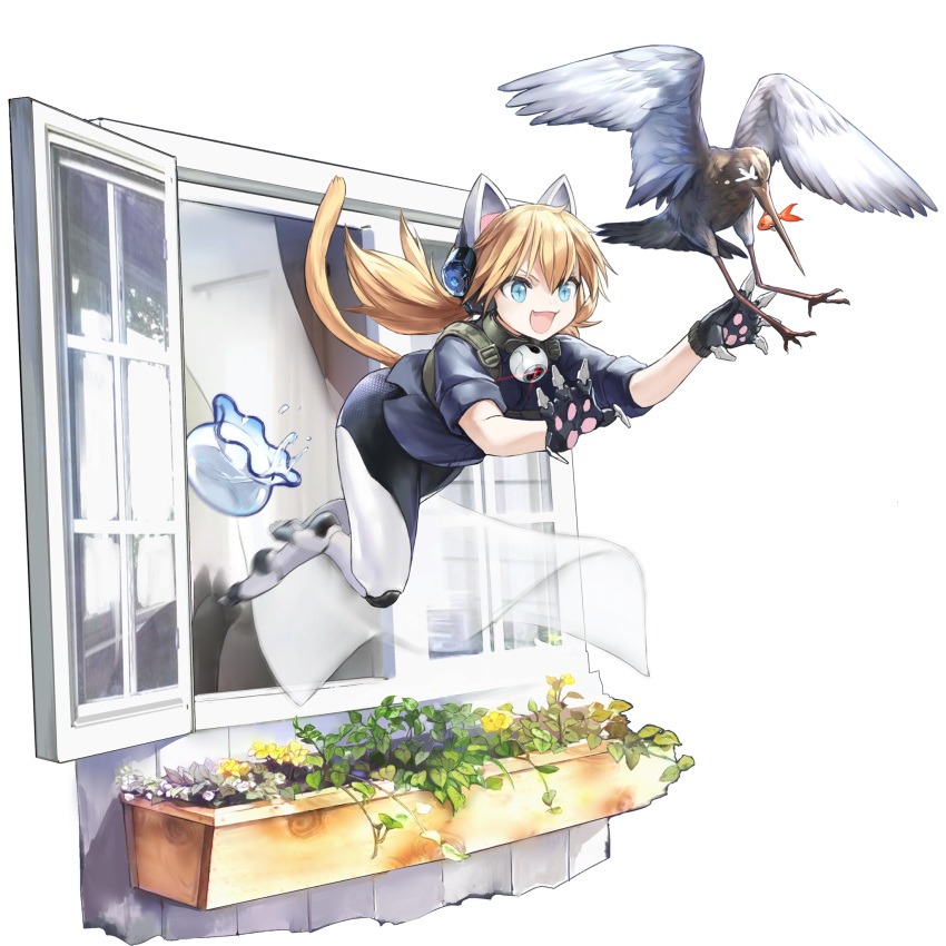 1girl :d animal_ears autodefenestration barefoot bird blonde_hair blue_eyes blue_shirt bottomless cat_ears cat_tail claws collar curtains fang fish fishbowl full_body girls'_frontline girls'_frontline_neural_cloud highres idw_(girls'_frontline) joints mechanical_hands mechanical_legs mouth_hold official_art open_mouth open_window pawpads plant pouncing robot_joints shirt sleeves_rolled_up smile solo symbol-shaped_pupils tail transparent_background twintails window windowsill