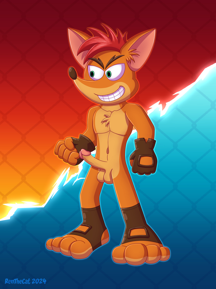 absurd_res activision anklet anthro bandicoot clothing crash_bandicoot crash_bandicoot_(series) erection genitals gloves handwear hi_res jewelry male mammal marsupial mma penis renthecat solo