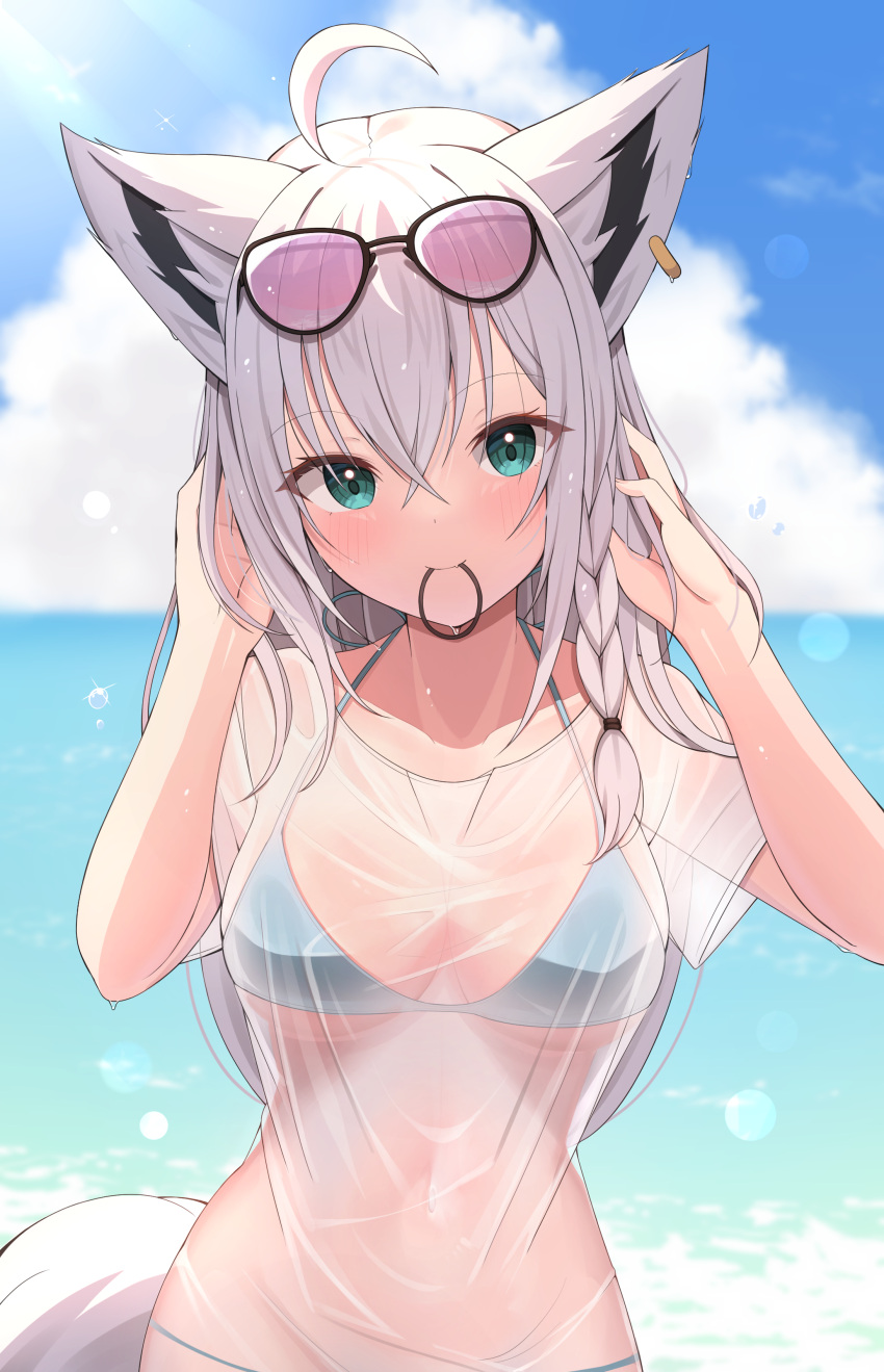 1girl absurdres ahoge animal_ears bikini bikini_under_clothes black-framed_eyewear blue_bikini blue_sky blush breasts cleavage closed_mouth cloud collarbone commentary_request day eyewear_on_head fox_ears fox_girl fox_tail green_eyes hair_tie hand_up hands_in_hair highres hololive long_hair medium_breasts mouth_hold navel ocean outdoors pink-tinted_eyewear see-through shirakami_fubuki shirt short_sleeves silver_hair sky smile solo starfox1015 stomach sunglasses swimsuit tail tinted_eyewear upper_body virtual_youtuber water wet wet_clothes wet_shirt white_shirt