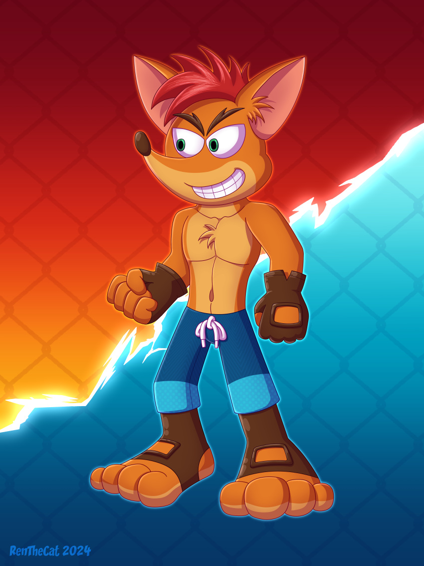 absurd_res activision anklet anthro bandicoot bottomwear clothing crash_bandicoot crash_bandicoot_(series) gloves handwear hi_res jewelry male mammal marsupial mma pants renthecat solo
