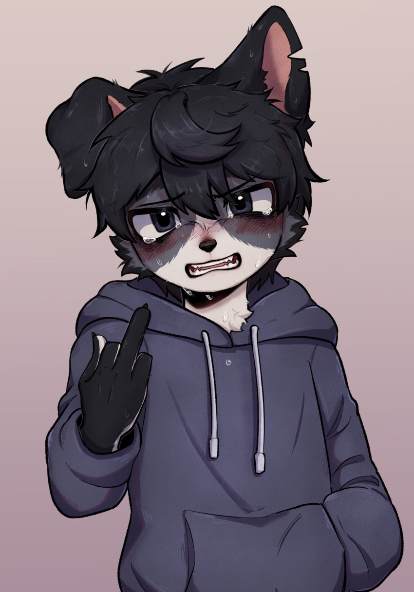 1boy acorn_furry angry animal_ears black_fur black_hair claws cowboy_shot crying crying_with_eyes_open cub dog_boy dog_ears floppy_ears hand_in_pocket highres hood hoodie looking_at_viewer male_focus middle_finger notched_ear original solo tears teeth two-tone_fur white_fur