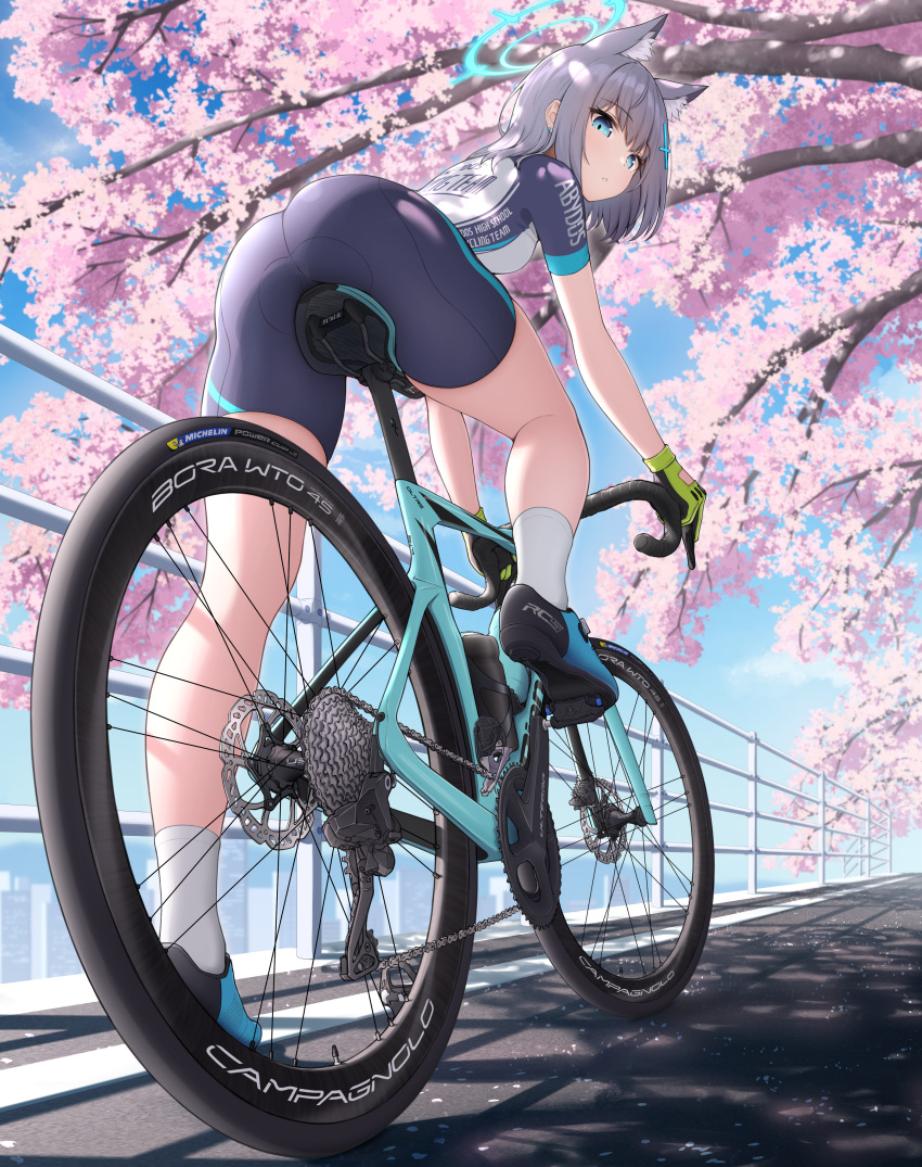 1girl absurdres animal_ear_fluff animal_ears bicycle bike_jersey bike_shorts biker_clothes blue_archive blue_eyes blue_halo blush bottle breasts cherry_blossoms cross_hair_ornament cycling_uniform extra_ears from_below gloves green_gloves grey_hair hair_ornament halo highres leg_up looking_at_viewer looking_back medium_breasts mismatched_pupils official_alternate_costume outdoors riding riding_bicycle shiroko_(blue_archive) shiroko_(cycling)_(blue_archive) solo topgear water_bottle wolf_ears