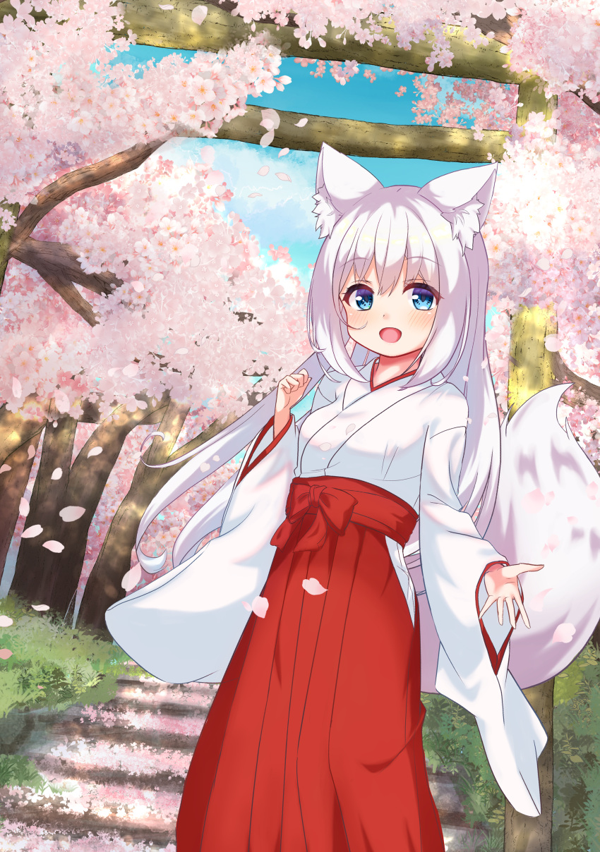 1girl :d absurdres animal_ears blue_sky bow branch breasts cloud commentary_request day flower fox_ears fox_girl fox_tail hair_between_eyes hakama hakama_skirt highres hip_vent japanese_clothes kimono long_hair long_sleeves looking_at_viewer miko open_mouth original outdoors petals pink_flower red_bow red_hakama rodo_(oekakisyakaijin) skirt sky small_breasts smile solo stairs stone_stairs tail tree very_long_hair white_hair white_kimono wide_sleeves