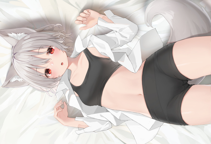 animal_ears bed bike_shorts bra cameltoe gray_hair inubashiri_momiji mamemochi navel red_eyes shirt short_hair shorts tail touhou underwear wolfgirl