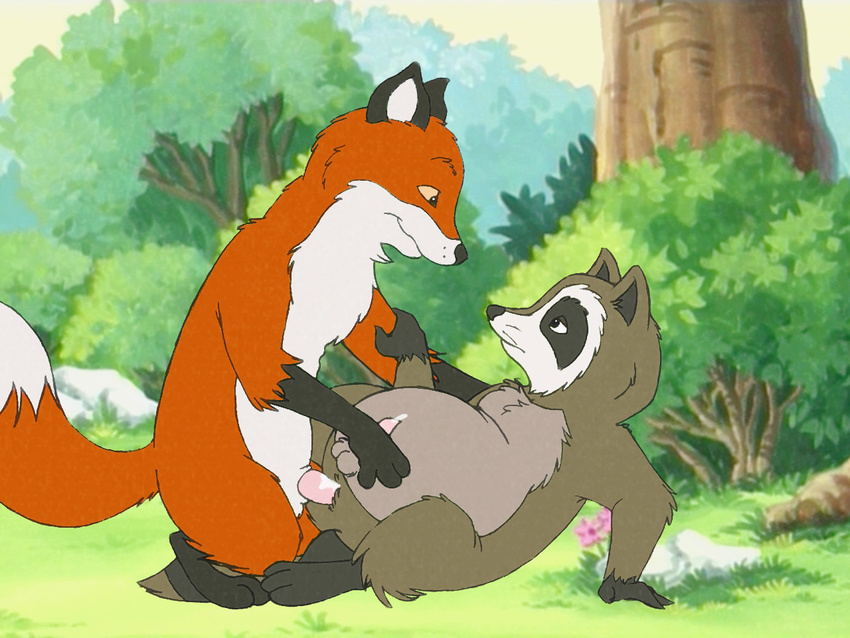 fox franklin raccoon tagme
