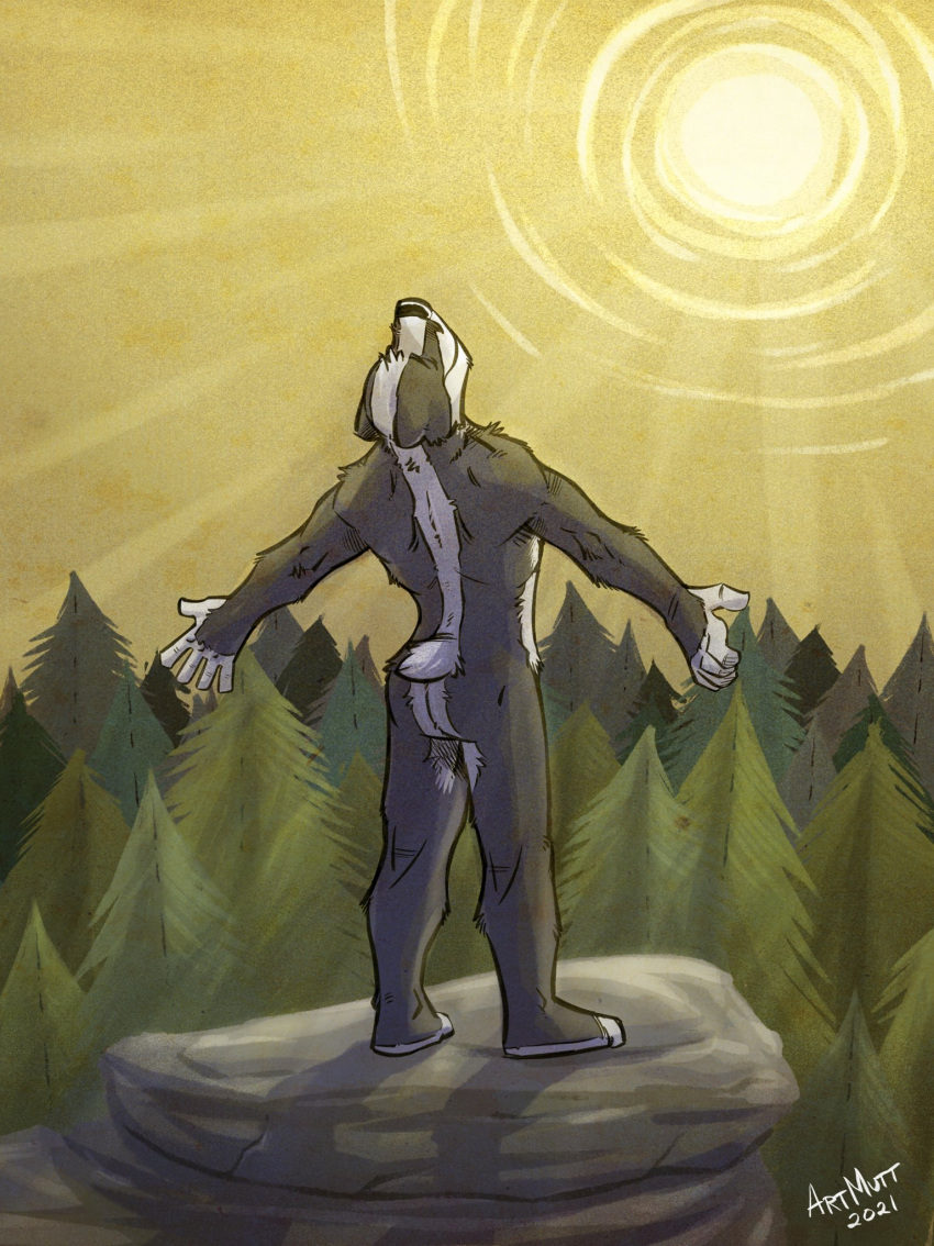 2021 anthro badger black_body black_fur butt eyes_closed forest forest_background fur hi_res k-9 light lighting male mammal mustelid musteline nature nature_background nude on_rock outside plant raised_head rear_view short_tail signature smile solo spread_arms standing striped_body striped_fur stripes sun sunlight sunny tree white_body white_fur