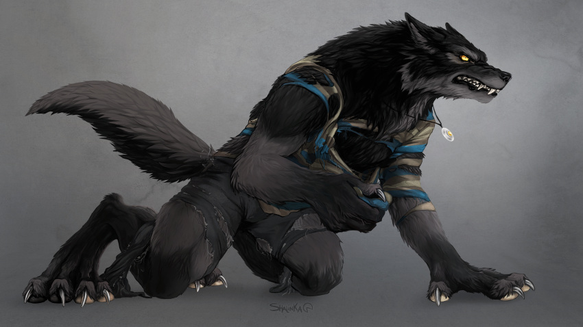 16:9 2021 4_toes 5_fingers black_body black_fur black_nose canid canine clothing digital_media_(artwork) feet fingers fur hi_res male mammal paws shalinka simple_background teeth toes torn_clothing transformation were werecanid werecanine werewolf widescreen