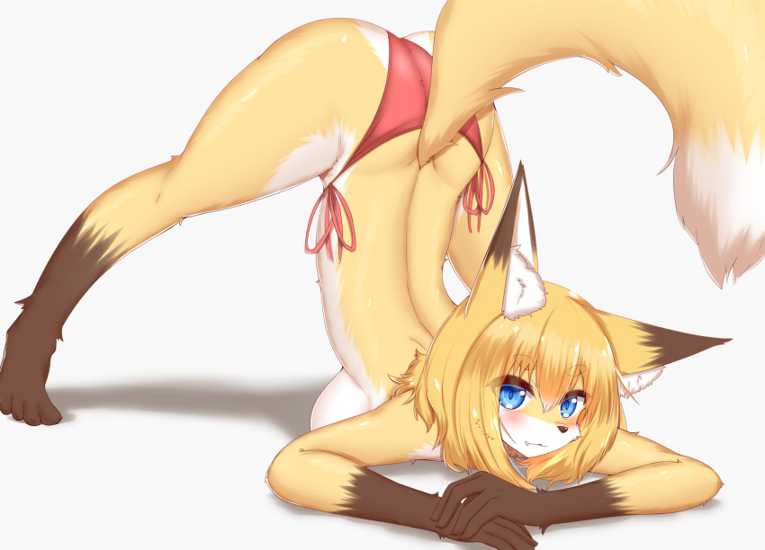 2021 4_toes 5_fingers anthro ass_up barefoot big_breasts blonde_hair blue_eyes breasts brown_body brown_fur butt canid canine clothed clothing cute_fangs dipstick_ears dipstick_tail feet female fingers fluffy fox fur gloves_(marking) hair hi_res horokusa0519 inner_ear_fluff jack-o'_pose kemono leg_markings mammal markings meme multicolored_body multicolored_ears multicolored_fur multicolored_tail panties pose short_hair side-tie_panties side_boob socks_(marking) solo toes topless translated_description tuft underwear white_body white_fur yellow_body yellow_fur