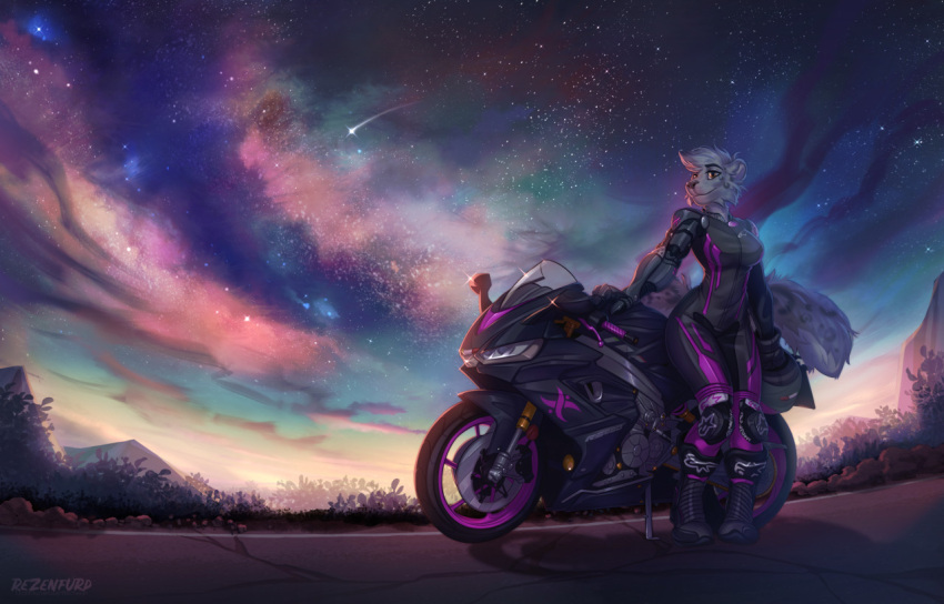 2021 anthro black breasts clothed clothing detailed_background digital_media_(artwork) felid female fur grey_body grey_fur grey_spots mammal motorcycle night outside pantherine sky smile snow_leopard solo spots spotted_body spotted_fur star starry_sky tltechelon vehicle