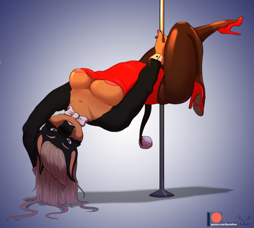 anthro big_breasts black_body black_fur blue_eyes bow_tie breasts brown_body brown_fur canid canine canis clothing dancing dobermann domestic_dog dr_zombie female fur grey_hair hair high_heels legwear long_hair looking_at_viewer mammal mature_female patreon pinscher playboy_bunny pole pole_dancing simple_background solo stockings