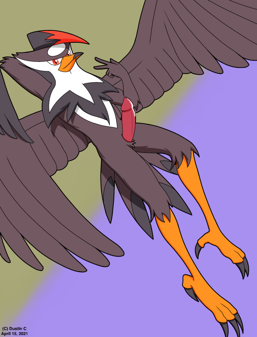 accipitrid accipitriform anthro anthrofied avian beak bird bodily_fluids dustin_c erection falconid feathered_wings feathers fur genital_fluids genitals hair hi_res looking_at_viewer male multicolored_hair nintendo penis pok&eacute;mon pok&eacute;mon_(species) red_eyes simple_background smile solo staraptor tail_feathers talons video_games wings