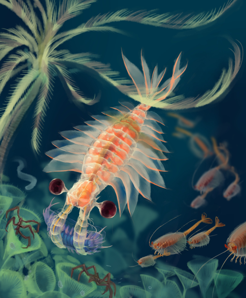 2020 absurd_res ambiguous_gender anomalocarid anomalocaris arthropod bedupolker big_eyes black_eyes brown_body crinoid crustacean detailed_background duo_focus echinoderm feral fin great_appendages group hi_res holding_character larger_feral marine orange_body purple_body sea_spider shrimp size_difference smaller_feral swimming tail_fin translucent translucent_body trilobite underwater wapita water