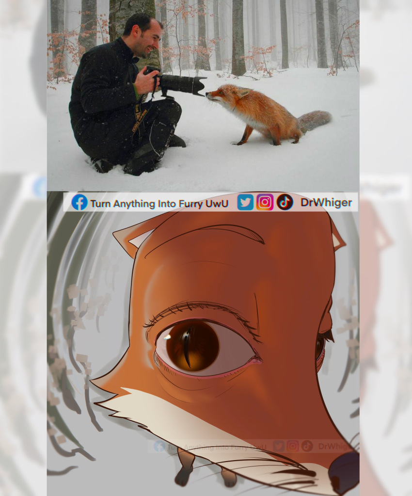 2021 ambiguous_gender brown_eyes camera camera_view canid canine close-up clothed clothing dan_dinu dr.whiger duo english_text eyelashes facebook facebook_logo feral forest fox fur hi_res holding_camera holding_object human humor male mammal meme nikon nikon_d800 photo plant real red_fox snow text tree twitter twitter_logo watermark whiskers