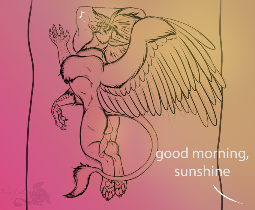 absurd_res anthro avian backsack balls bed chirping cute_face cute_pose erection feral furniture genitals gryphon hi_res lying lying_on_bed male morning_wood mythological_avian mythology on_bed paws sketch smile solo stretching zirius