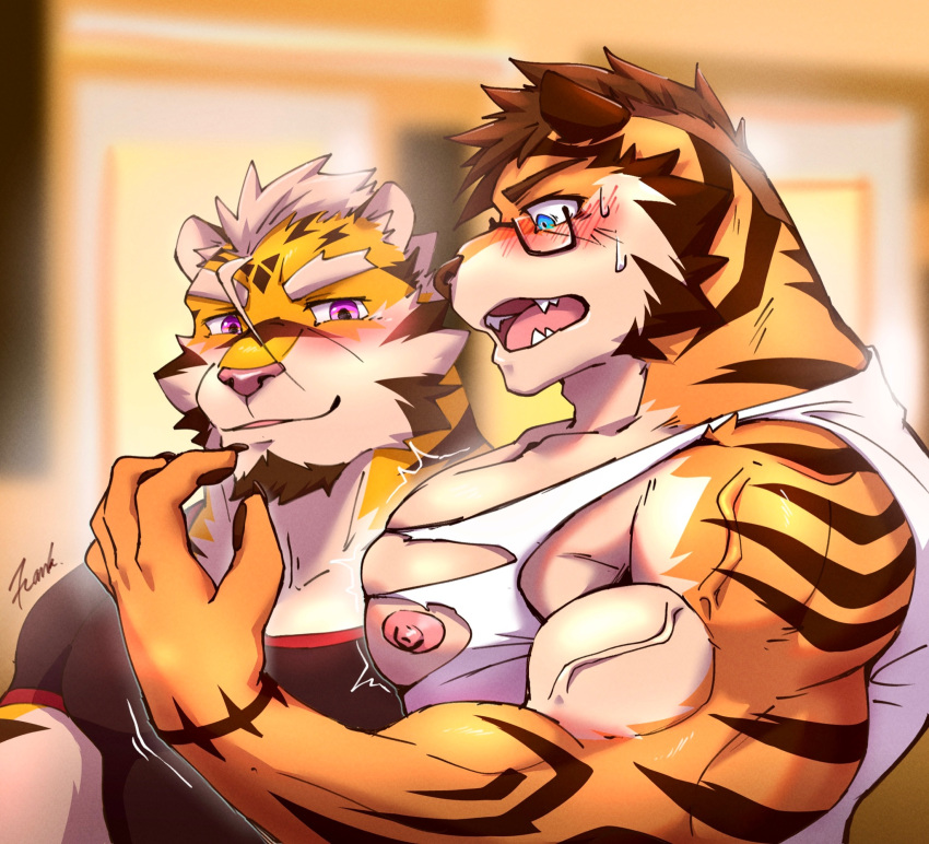 anthro badtiger biceps blue_eyes clothing duo enaeric eyewear facial_hair felid fur girl_staring_at_man's_chest glasses hair hi_res male mammal meme muscular muscular_anthro muscular_male nipples pantherine pecs purple_eyes stripes tiger topwear torn_clothing