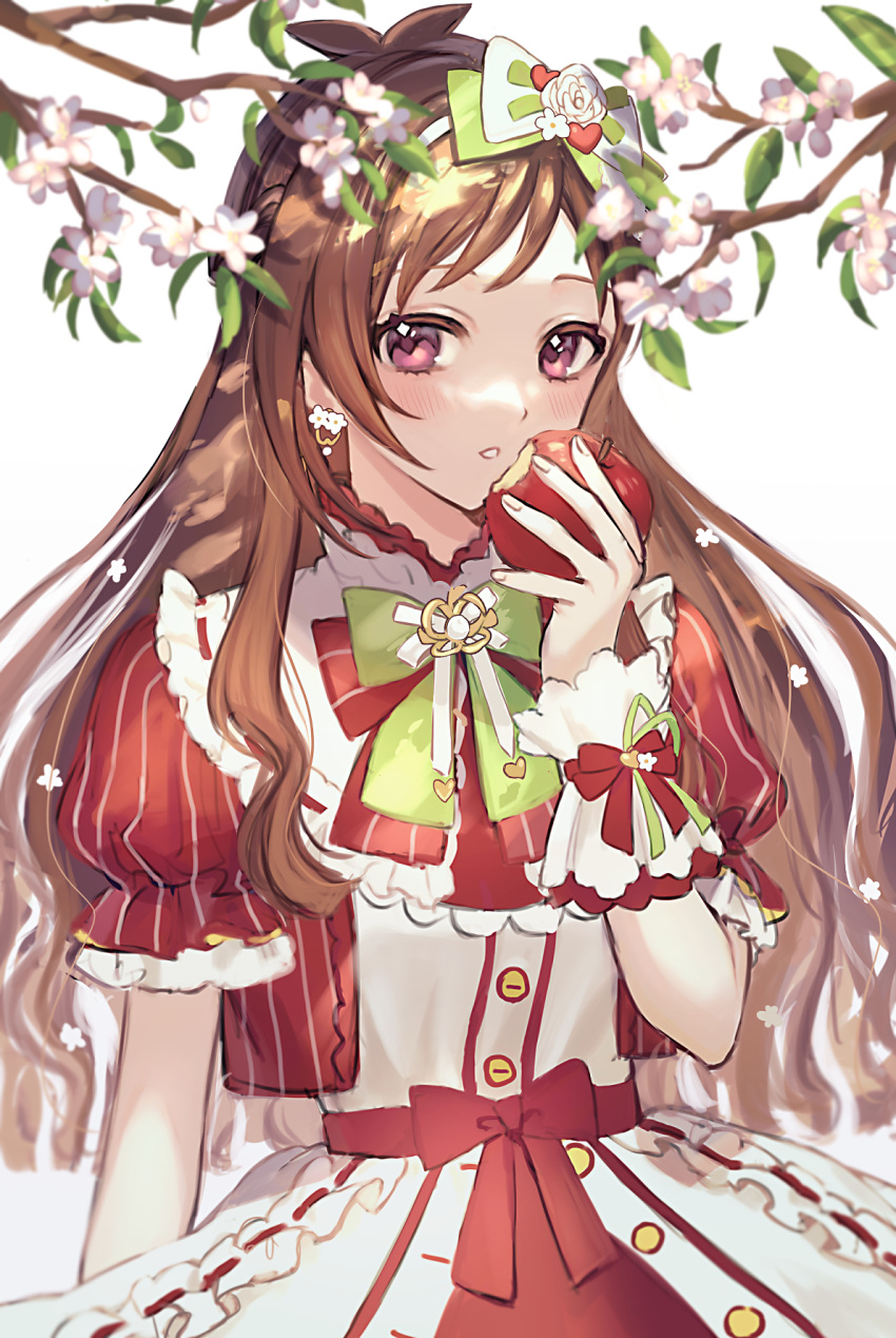 1girl anoa apple bangs blush bow branch brown_hair commentary_request dress earrings flower flower_earrings food fruit green_bow hair_bow hand_up highres holding holding_food holding_fruit idolmaster idolmaster_cinderella_girls idolmaster_cinderella_girls_starlight_stage jacket jewelry long_hair open_clothes open_jacket parted_lips red_apple red_bow red_eyes red_jacket rose simple_background solo striped striped_bow striped_jacket tsujino_akari vertical-striped_jacket vertical_stripes very_long_hair white_background white_dress white_flower white_rose wrist_cuffs