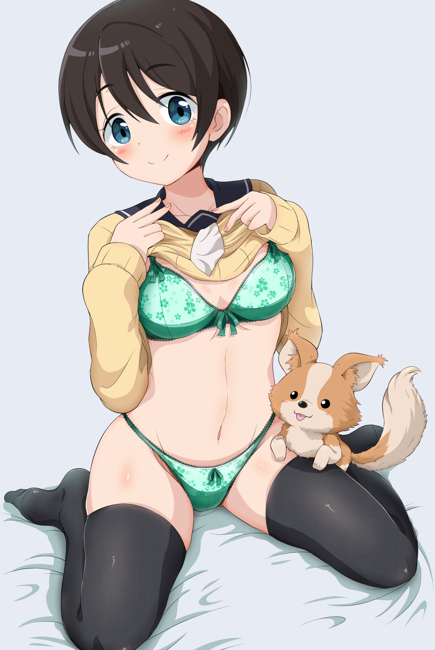 1girl absurdres black_hair black_legwear blue_eyes blush bra breasts chihuahua chikuwa_(yurucamp) cleavage closed_mouth clothes_lift collarbone dog eggman_(pixiv28975023) eyebrows_visible_through_hair green_bra green_panties groin highres lifted_by_self lingerie looking_at_viewer medium_breasts navel necktie panties saitou_ena school_uniform shiny shiny_hair shirt_lift short_hair simple_background smile thighhighs underwear white_background yurucamp