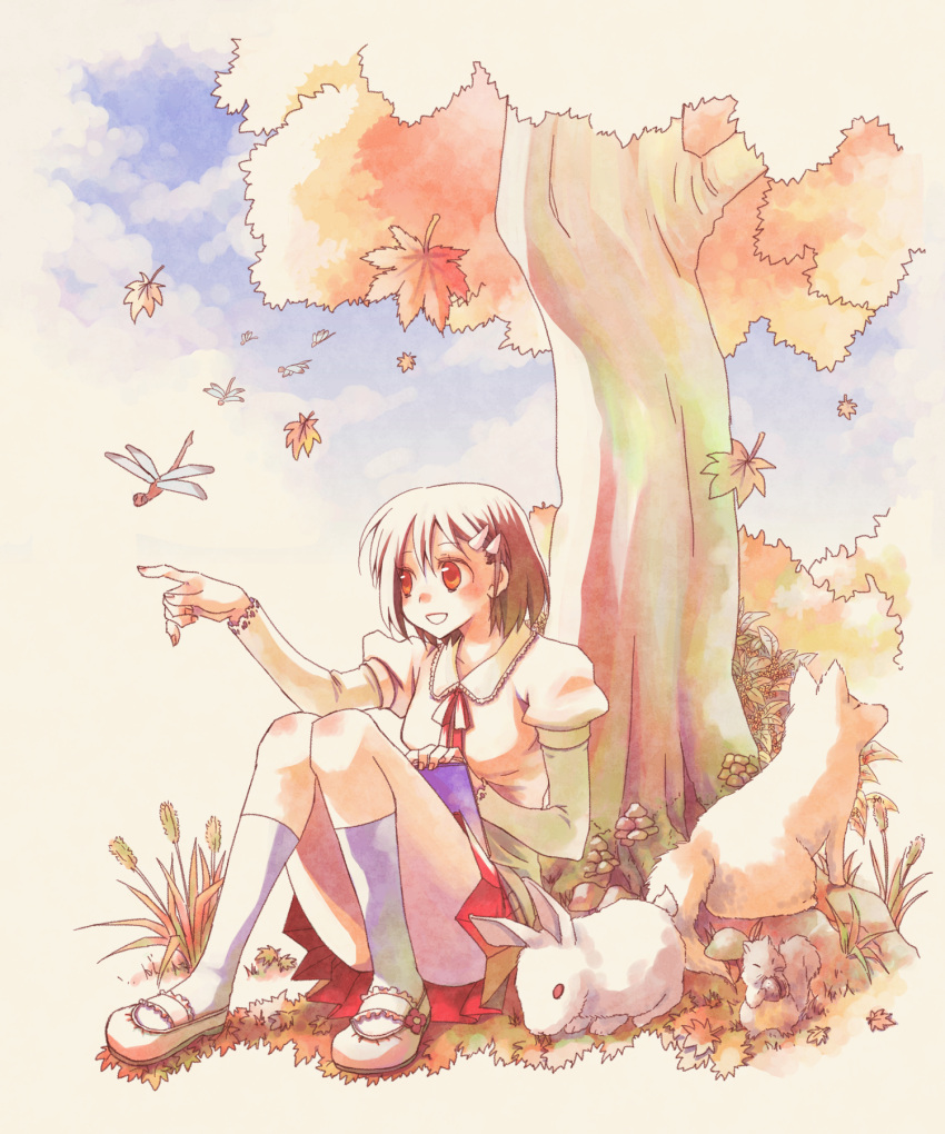 1girl azpainter_(medium) bangs blush brown_eyes brown_hair bug bunny commentary_request dog dragonfly falling_leaves full_body hair_ornament hairpin highres juliet_sleeves leaf long_sleeves looking_to_the_side nature open_mouth original puffy_sleeves purple_legwear red_skirt sakakura_(sariri) shirt shoes short_hair sitting skirt smile socks solo squirrel tree white_footwear white_shirt