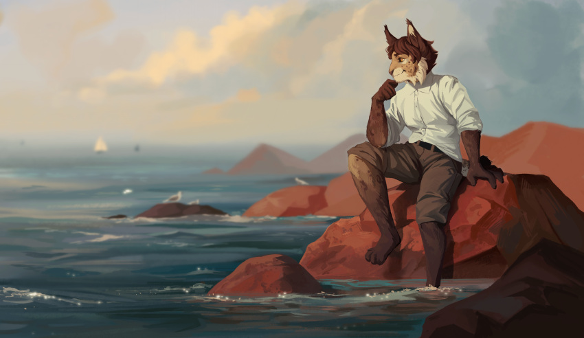 2023 aidan_(sryer) anthro brown_hair clothed clothing cloud eurasian_lynx felid feline hair hi_res lynx male mammal novikjpg rock sitting sky solo water yellow_eyes