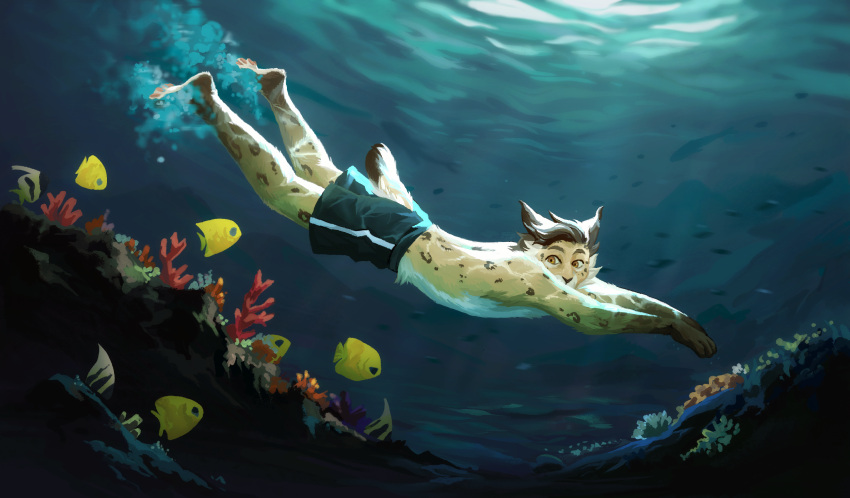 2023 aidan_(sryer) anthro brown_hair clothing diving eurasian_lynx felid feline fish hair hi_res lynx male mammal marine novikjpg solo swimming_trunks swimwear underwater underwater_scenery water yellow_eyes