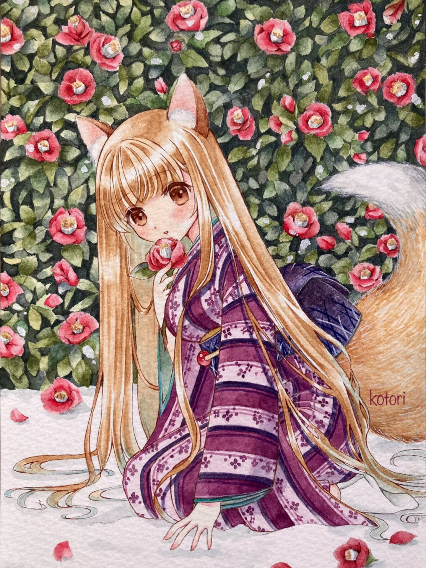 1girl animal_ear_fluff animal_ears artist_name brown_eyes brown_hair bush camellia flower fox_ears fox_girl fox_tail from_side highres holding holding_flower japanese_clothes kimono kotori_(mkoto7716) long_hair long_sleeves looking_at_viewer looking_to_the_side obi original outdoors parted_lips purple_kimono red_flower sash seiza sitting socks solo striped_clothes striped_kimono tail tail_raised very_long_hair white_socks