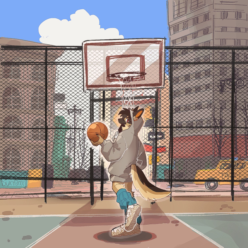 1girl animal_ears ball basketball_(object) basketball_court basketball_hoop blue_sky body_fur brown_fur brown_hair building car chain-link_fence city cloud commentary day dog_ears dog_girl dog_tail ears_through_headwear fence fingernails furry furry_female grey_hoodie highres holding holding_ball hood hood_up hoodie leg_warmers long_sleeves looking_at_viewer looking_back motor_vehicle original outdoors rata_(norahasu) red_eyes scenery sharp_fingernails shoes sky sneakers solo standing tail tail_through_clothes tomboy white_footwear wide_shot yellow_fur