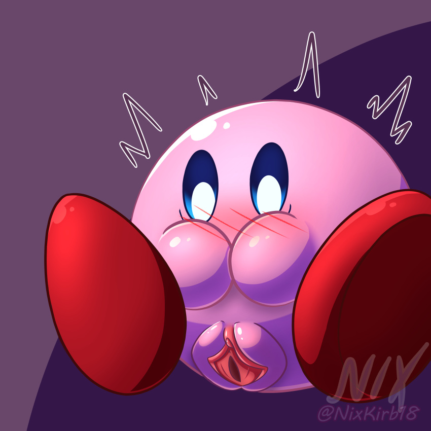 absurd_res blush clitoris clothing embarrassed female footwear genitals hi_res holding_mouth kirby kirby_(series) looking_down nintendo nixkirb nixkirb18 not_furry pussy shoes solo spreading waddling_head wave