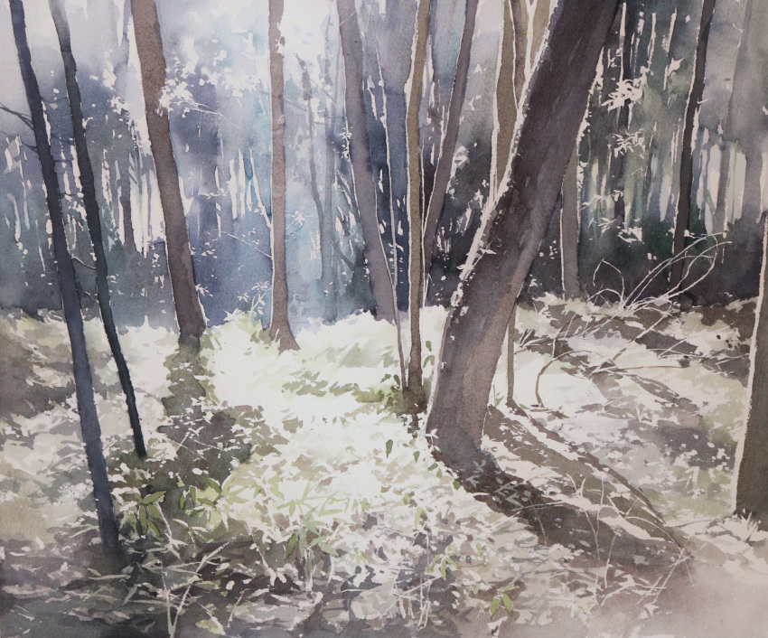 dappled_sunlight dark day dead_plants forest grass highres nature original plant scenery shadow sunlight toyonaga_ryouhei tree tree_shade weeds