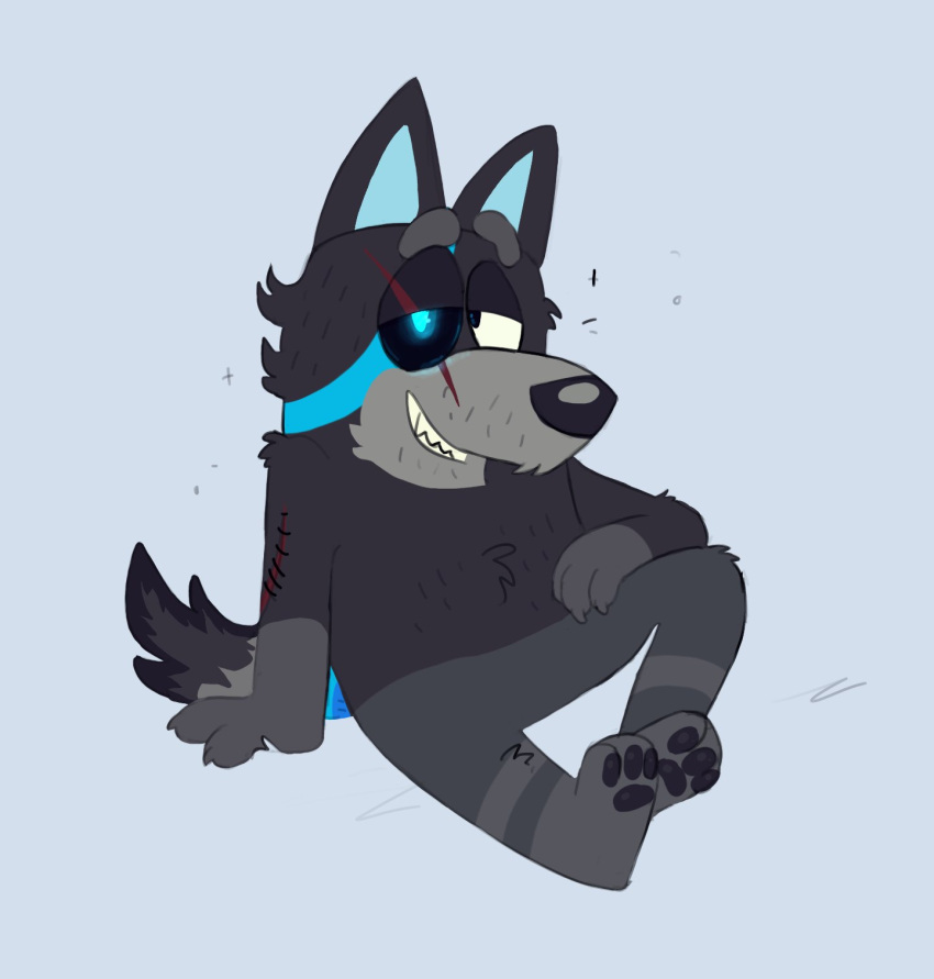 2023 anthro black_body black_ears black_eyes black_fur black_hair black_nose black_pawpads black_sclera black_tail blue_body blue_eyes blue_fur blue_tail bluey_(series) canid canine canis digital_media_(artwork) domestic_dog eye_scar facial_scar fan_character fur grey_background grey_body grey_fur grey_tail hair half-closed_eyes hand_on_leg hand_on_own_leg heterochromia hi_res male mammal multicolored_body multicolored_fur multicolored_tail narrowed_eyes pawpads pose scar shaibey sharp_teeth simple_background sitting smile solo tail teeth