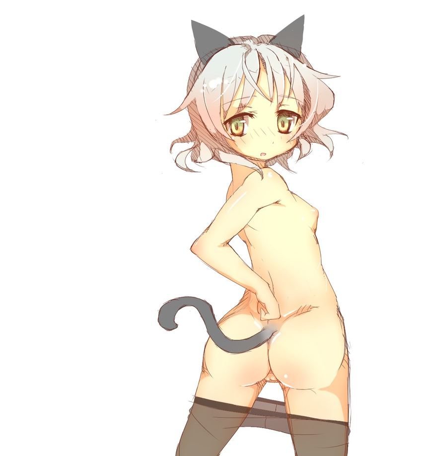 animal_ears ass back black_legwear blush breasts cat_ears cat_tail from_behind green_eyes highres looking_back nipples pantyhose pantyhose_pull parted_lips prnt pussy sanya_v_litvyak short_hair silver_hair small_breasts solo strike_witches tail topless world_witches_series