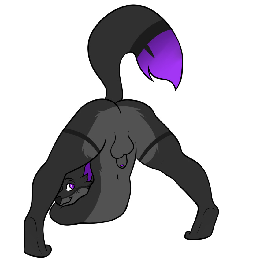 1:1 alpha_channel anthro backsack balls blep butt canid canine fox fur_dye genitals glowing glowing_eyes glowing_genitalia glowing_tail hi_res jack-o'_pose male mammal meme pose psychoyamada slinx_(character) solo tongue tongue_out