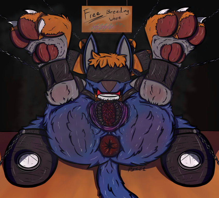 absurd_res anthro anus bdsm female gag genitals hi_res jamie_(pyne) large_paws lucario meaty_pussy nintendo pok&eacute;mon pok&eacute;mon_(species) puffy_anus pussy pyne_(artist) solo video_games