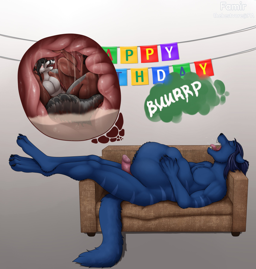 2021 4_toes 5_fingers abdominal_bulge absurd_res after_vore annoyed anthro anthro_pred anthro_prey arm_tuft athletic athletic_anthro athletic_male barefoot belly belly_tuft biceps big_belly big_penis big_tail biped birthday birthday_party black_claws black_eyebrows black_hair black_nose black_pawpads blue_body blue_fur blue_hair blue_stripes blush bodily_fluids brown_body brown_ears brown_fur burping canid canine cheek_tuft chest_tuft claws colored countershade_torso countershading cramped cutaway digital_drawing_(artwork) digital_media_(artwork) digitigrade domestic_cat dripping duo english_text erection eyebrows eyes_closed facial_markings facial_tuft fangs feet felid feline felis finger_claws fingers fluffy fluffy_tail foot_tuft forced foreskin fur fur_tuft furniture gaping_mouth genitals grey_background grey_body grey_countershading grey_eyes grey_fox grey_fur grey_stripes grey_tail grey_text hair half-closed_eyes hand_on_stomach happy_birthday head_markings hi_res hindpaw humanoid_genitalia humanoid_penis inside internal larger_anthro larger_male larger_pred leg_tuft long_hair long_tail looking_up lying male male_pred male_prey mammal markings multicolored_body multicolored_fur multicolored_tail narrowed_eyes nude on_back on_sofa onomatopoeia open_mouth oral_vore organs partially_submerged pawpads paws pecs penis pink_foreskin pink_penis pink_tongue ponytail raised_foot raised_leg raised_paw relaxing restrained retracted_foreskin russian_blue saliva saliva_drip saliva_string satisfied shaded sharp_claws short_hair side_view simple_background size_difference smaller_anthro smaller_male smaller_prey sofa soft_vore sound_effects stomach stomach_acid striped_back striped_body striped_fur stripes struggling teeth text thebestvore thick_tail toe_claws toes tongue tongue_out tuft unwilling_prey unwilling_vore urocyon vein veiny_penis vore vulpes_proeliator watermark wet wet_body wet_fur white_text yana_(nouva)