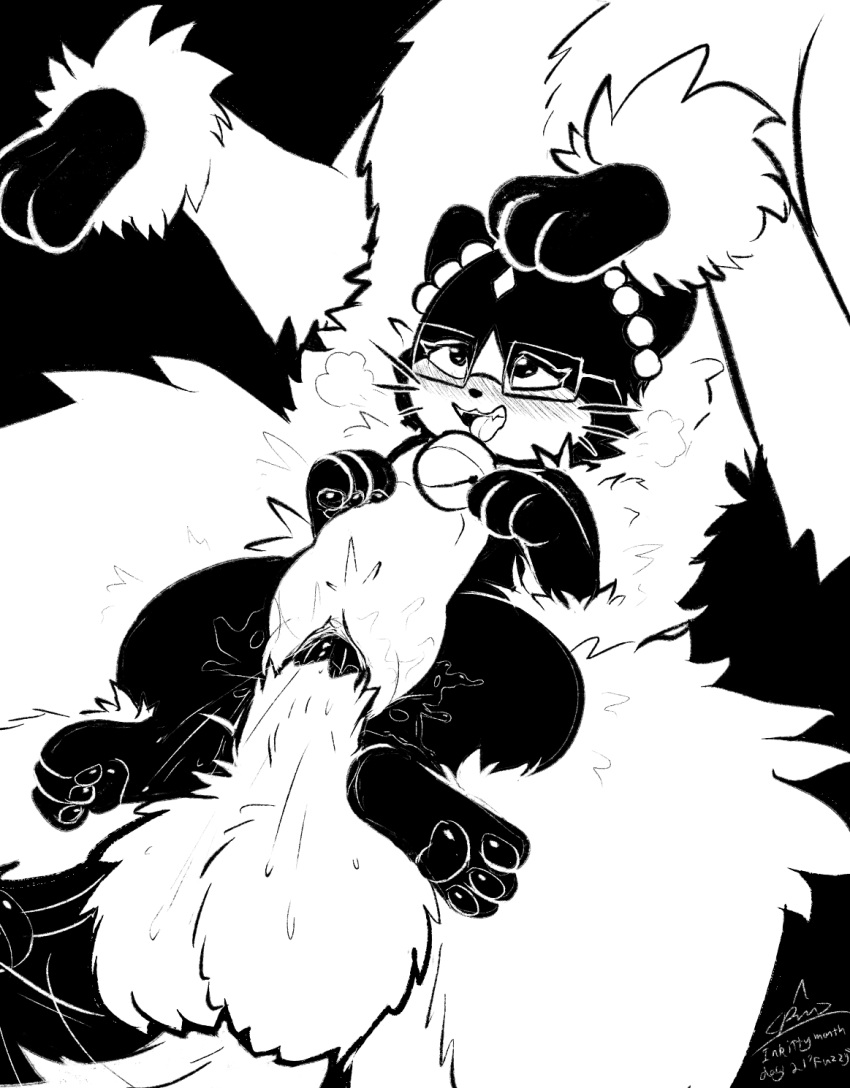 ahegao animal_genitalia balls bell bell_collar beta_pok&eacute;mon_(species) beta_pok&eacute;mon_games black_and_white blush bodily_fluids canid canine collar digital_media_(artwork) duo ejaculation erection eyewear faceless_character faceless_male felid female female_penetrated feral fluffy fur furfrou genital_fluids genitals glasses hi_res inktober knot knotting looking_pleasured lying lying_on_another male male/female male_penetrating male_penetrating_female mammal monochrome natural_furfrou nintendo on_back open_mouth orgasm pawpads penetration penile penis pok&eacute;mon pok&eacute;mon_(species) pok&eacute;mon_gold_beta pussy pussy_ejaculation pussy_juice rinrin_(pok&eacute;mon_gold_beta) rymherdier rynring sex signature simple_background size_difference smile tongue vaginal vaginal_knotting vaginal_penetration video_games white_body white_fur