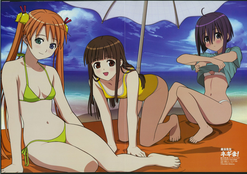 :&lt; ahoge all_fours arm_support bangs barefoot beach beach_towel beach_umbrella bell bikini bikini_under_clothes black_hair blue_eyes blue_sky blunt_bangs blush breasts brown_eyes casual_one-piece_swimsuit cloud crease crossed_arms day feet green_bikini green_eyes groin hair_bell hair_between_eyes hair_ornament head_tilt heterochromia highres kagurazaka_asuna katou_hatsue konoe_konoka light_smile long_hair looking_at_viewer lowleg lowleg_bikini mahou_sensei_negima! megami miyazaki_nodoka multiple_girls navel non-web_source ocean official_art one-piece_swimsuit open_mouth orange_hair outdoors parted_bangs purple_hair reclining scan shade shirt shirt_lift short_hair side-tie_bikini sidelocks sitting sky slender_waist small_breasts smile string_bikini swimsuit swimsuit_under_clothes t-shirt towel twintails umbrella undressing very_long_hair water white_bikini wide_hips yokozuwari