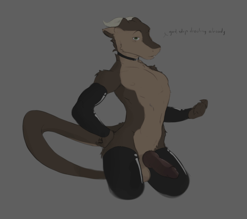andr0ch anthro armwear bedroom_eyes brown_body brown_fur clothing dragon fur furred_dragon hi_res horn knot latex_armwear latex_stockings legwear looking_at_viewer male narrowed_eyes raised_tail reed_(andr0ch) seductive simple_background smug solo text thigh_highs