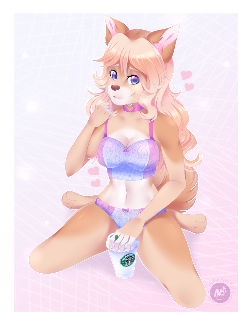anthro belly beverage blonde_hair border breasts canid canine canis choker cleavage clothed clothing domestic_dog female hair hi_res jewelry kneeling mammal necklace obakawaii purple_eyes simple_background solo starbucks underwear white_border