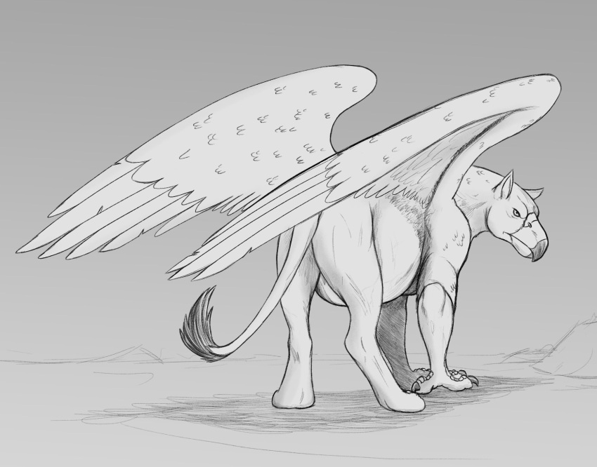 avian beak butt feral gryphon hi_res looking_at_viewer looking_back male monochrome mythological_avian mythology quadruped solo thatgryphonguy wings