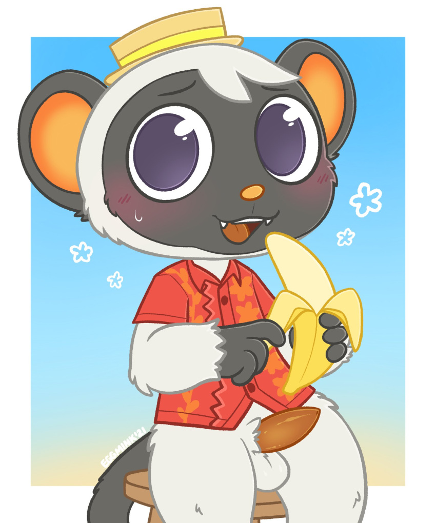 aloha_shirt animal_crossing anthro balls banana blush bodily_fluids bottomless clothed clothing eggmink erection fangs food fruit furniture genitals haplorhine hat headgear headwear hi_res lemur looking_at_viewer male mammal monkey niko_(animal_crossing) nintendo open_mouth pattern_clothing pattern_shirt pattern_topwear peeling penis plant primate shirt sitting sitting_on_stool smile solo stool strepsirrhine sweat sweatdrop tapering_penis topwear video_games